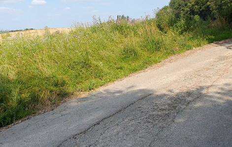 Beispiel eines sanierungsbedürftigen Wirtschaftsweges in Königswinter-Bockeroth