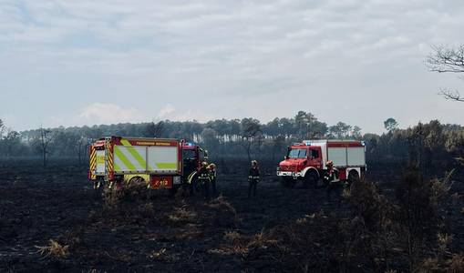 Im Waldbrandgebiet