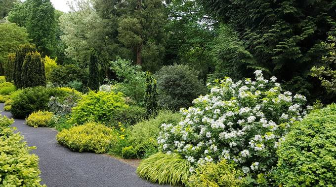 Arboretum im Park Härle