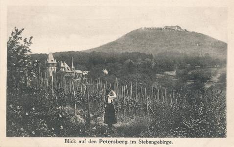 Blick vom Pfaffenröttchen auf den Petersberg, Ansichtskarte, um 1910
