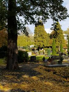 Friedhof Am Palastweiher, Königswinter-Altstadt