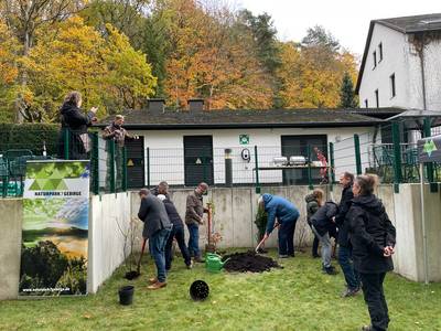 Heckenpflanzung am Imbusch Haus mit Landrat Schuster und Bürgermeister Wagner