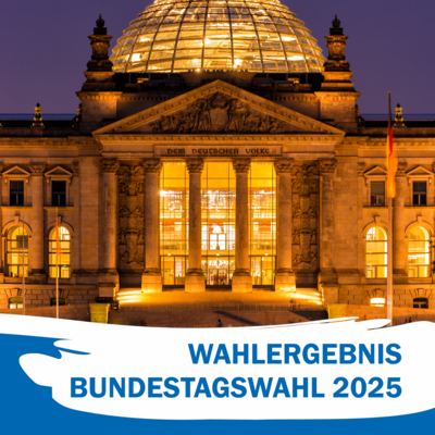 wahlergebnisbtw2025