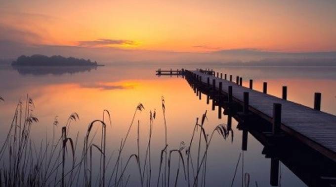 Blick durch Schilfpflanzen an einem See bei Sonnenuntergang