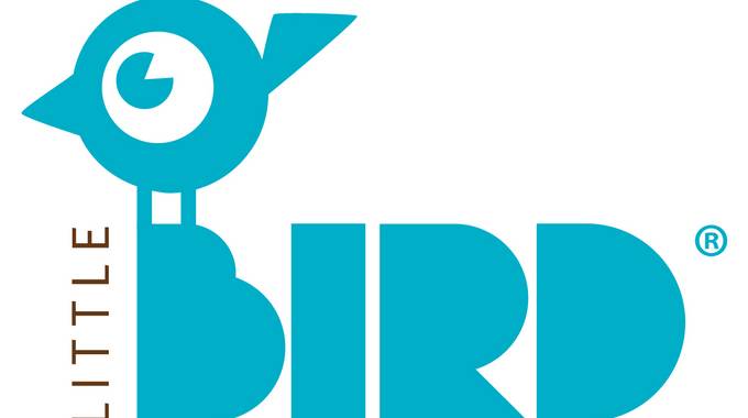 Logo Little Bird, türkiser Vogel, abstrakt